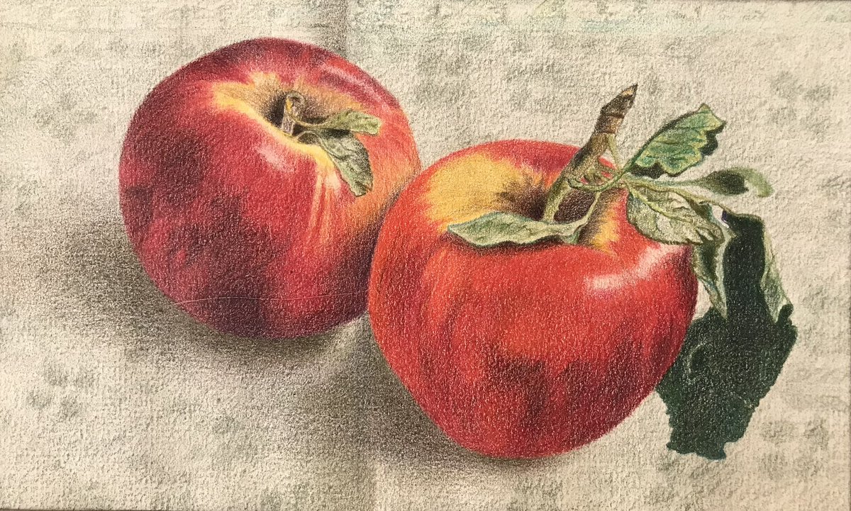 ShahnaMok's tweet photo. Apples 🍎
Color pencil on cardboard
15.5 tez
2 ed left
#MadeCommunity1
#MWellB
https://t.co/NOsvkhHCkw https://t.co/aPiNeeSWQx