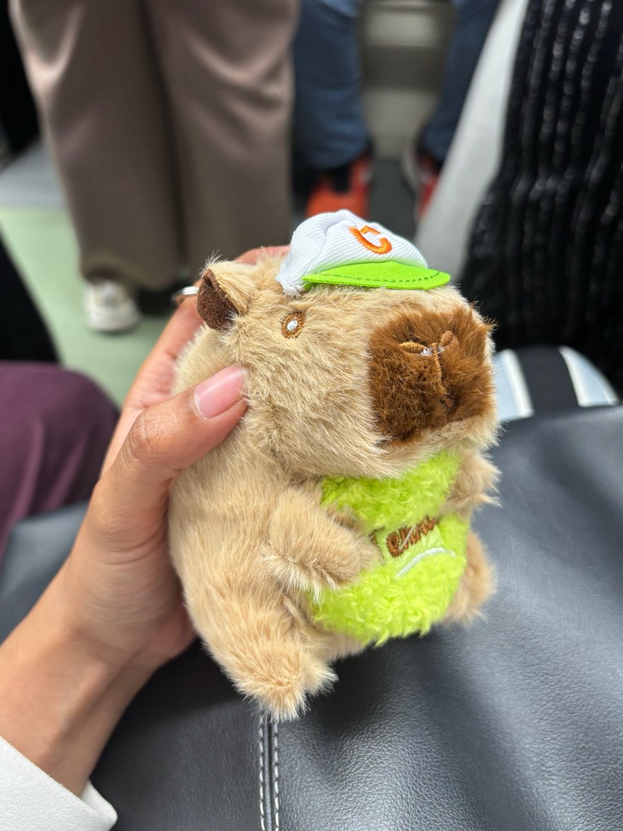 bittercaffeines's tweet photo. Aku ketemu kakek penjual boneka sudirman lg… masih pake baju yg sama kyk terakhir aku ketemu🥺

Aku melipir beli boneka capybara gemas!!! Kalian kalau ketemu kakek jgn lupa larisin yah, harganya cuma 5k-30k aja kokk, bonekanya jg bagus, tebel!! Cakep buat hiasan tas! Selalu ga tega aku liat lansia jualan huhu🥲 tiap aku ketemu, beliau selalu duduk nunggu org beli sambil baca koran… semoga jualan kakek laris selalu🤲🏼 ayo larisin guysssss