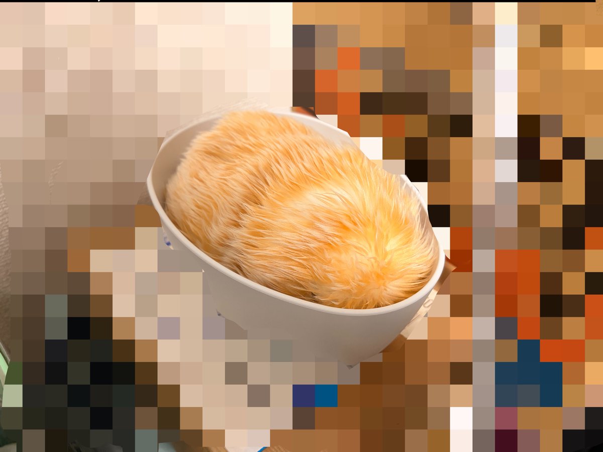 askpuboodou1941's tweet photo. つむ、爆睡

今日は沢山食べたし、楽しかったよね〜☺️ https://t.co/FIIMi6d7Pg