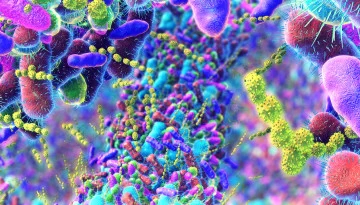This image shows a colorful, microscopic view of bacteria and microorganisms. Brightly colored shapes in purple, green, yellow, and red represent various microbes, densely clustered together, displaying intricate details and textures.