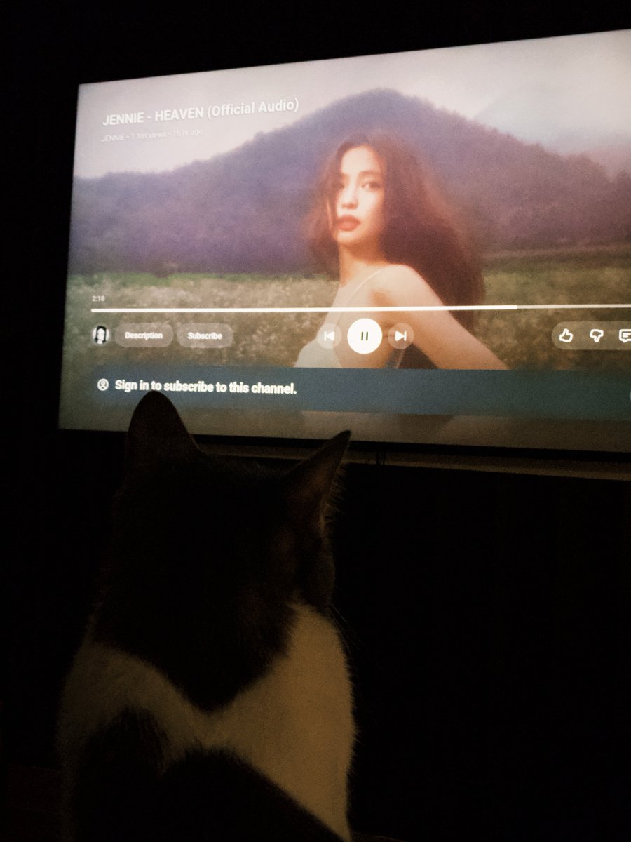 DNruby1's tweet photo. Heaven got his approval🙂‍↕️ https://t.co/hBepTPTBfg