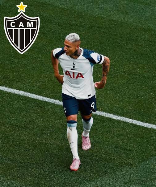 GaloCareca21's tweet photo. #pombonogalo 

Não custa tentar, viu isso aqui já comenta a #pombonogalo 🐦🐓 https://t.co/GZ0ONo6Emh