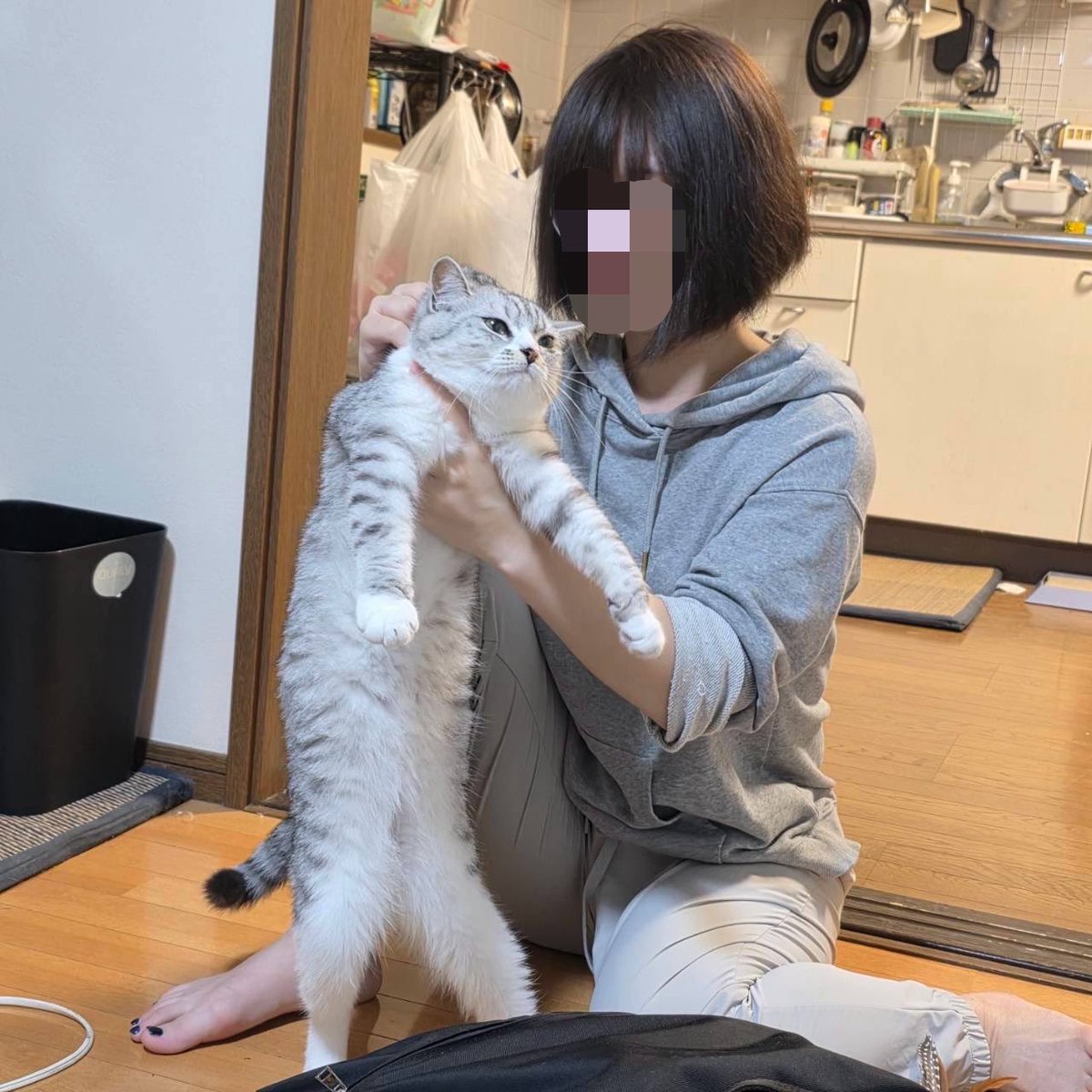 hibiemonn's tweet photo. 酔っ払って猫機関銃しとるワイと困惑する猫 https://t.co/hMIGFlMNvC