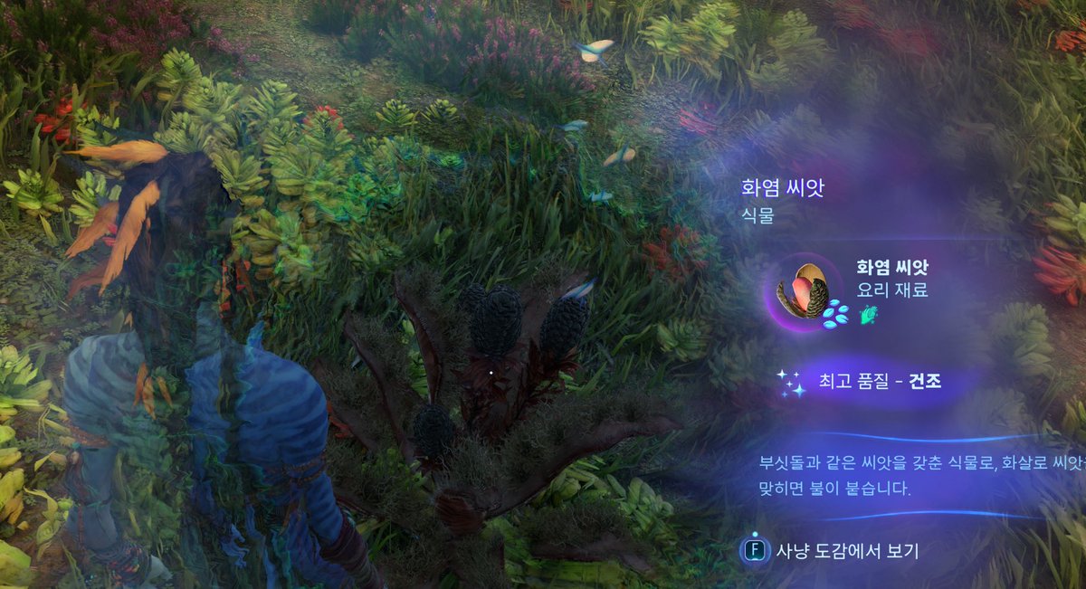 avatar_newbie's tweet photo. 우월은 나비가 세마리 떠다니고 정교는 다섯마리 있다는거 아셨나요 저는 몰랐어요!!!! https://t.co/v3R7xLeqGQ