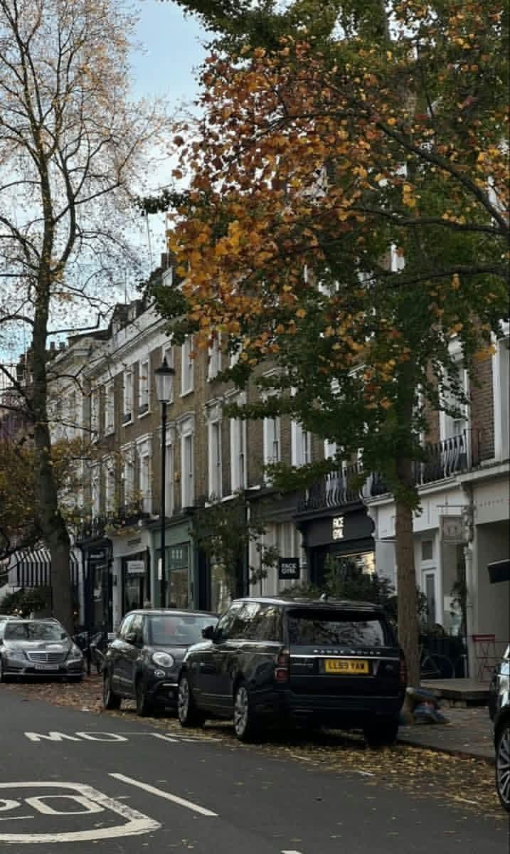 InFiniteH0riZ0n's tweet photo. Autumn in London, UK 🇬🇧 https://t.co/RNnaXArmQH