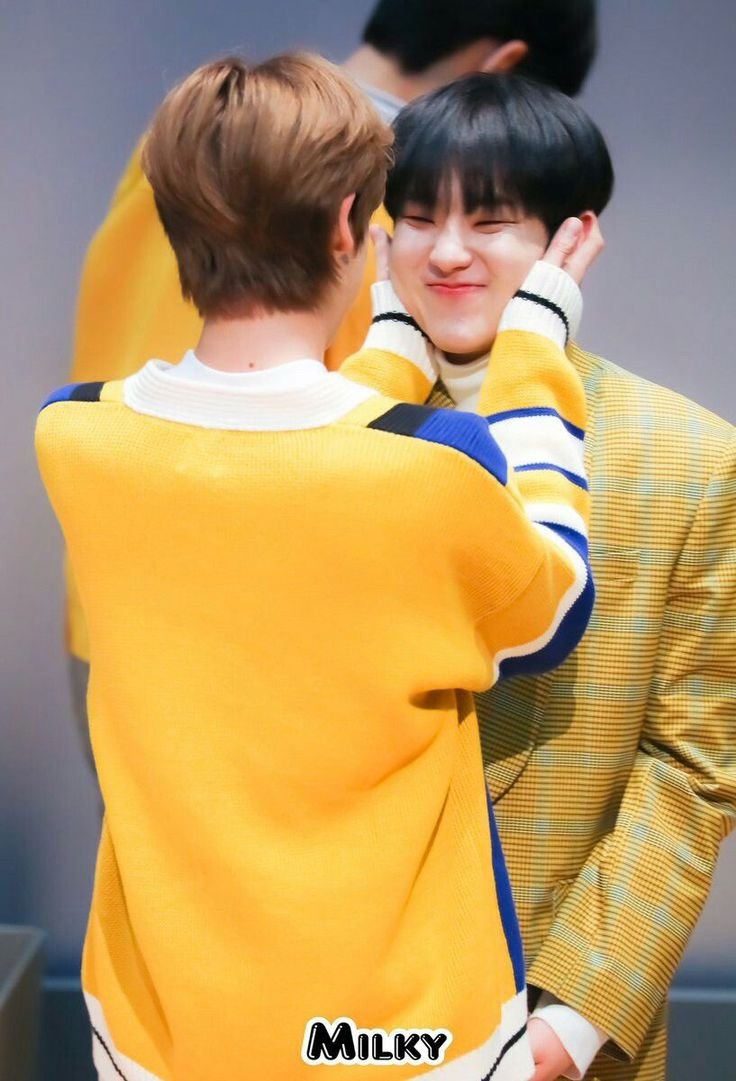 dinoqtbabie's tweet photo. The 97z dongsaeng who always pampering their tiger hyung. WDYM, lie on dokyeomie's chest. Mingyu wiping his snort. Minghao squishing his cheeks. https://t.co/ZJR0XKw1h8