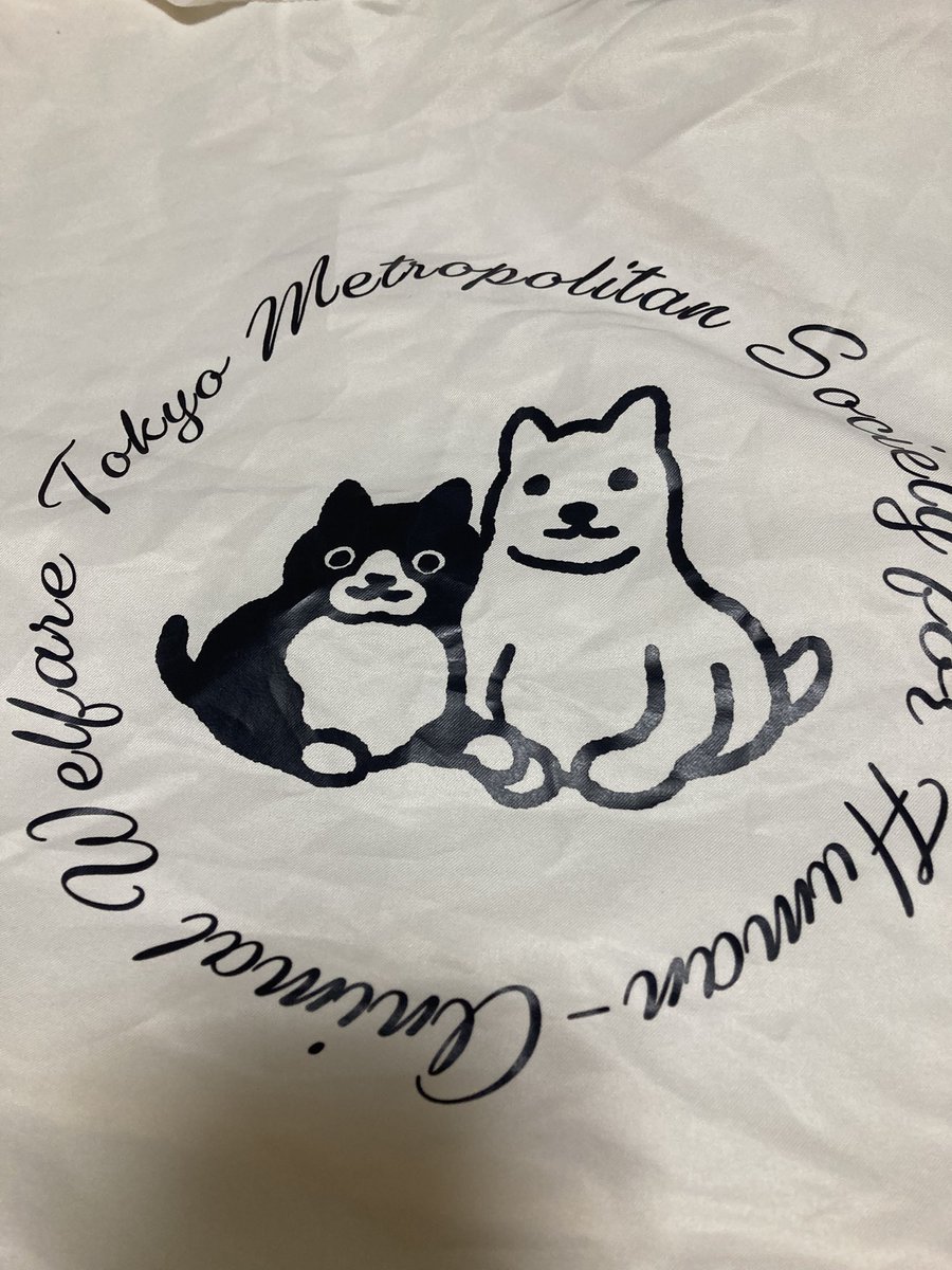 miwakiti726's tweet photo. とにかく坂崎千春さんはアイコンデザインスキル高過ぎで大企業からの依頼だけではなく保護猫団体ちよだにゃんとなる会からモフ出版のキャラクターデザイン全て意義を唱える御仁はおるまいと完璧で
おまけに完徹仕事しながら離乳食前の仔猫に哺乳瓶でミルクあげる完璧猫下僕で…
話がそれました https://t.co/BK83ELqCE7