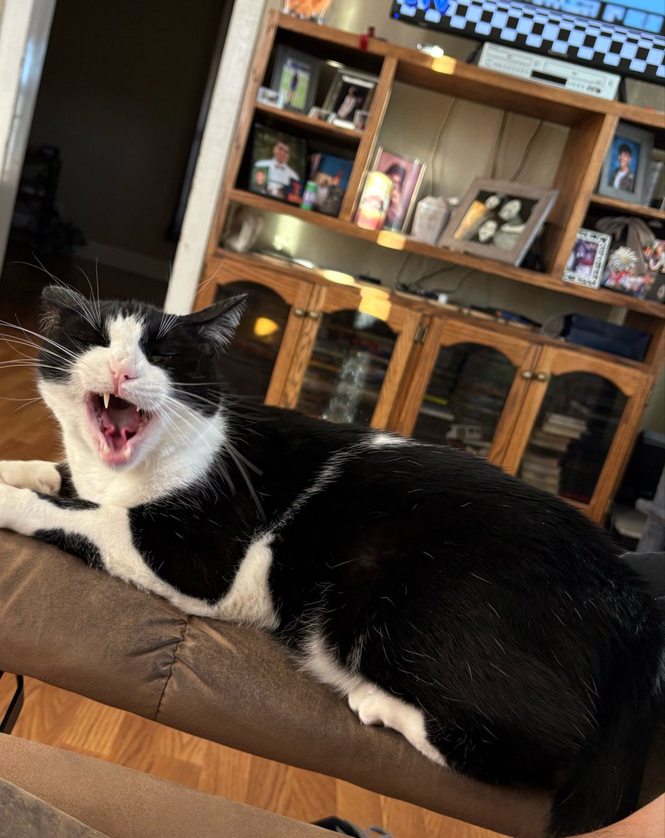 retrofreshc's tweet photo. Bobby says good morning gamers let’s get these wins #23days https://t.co/w6WPgtCtz3