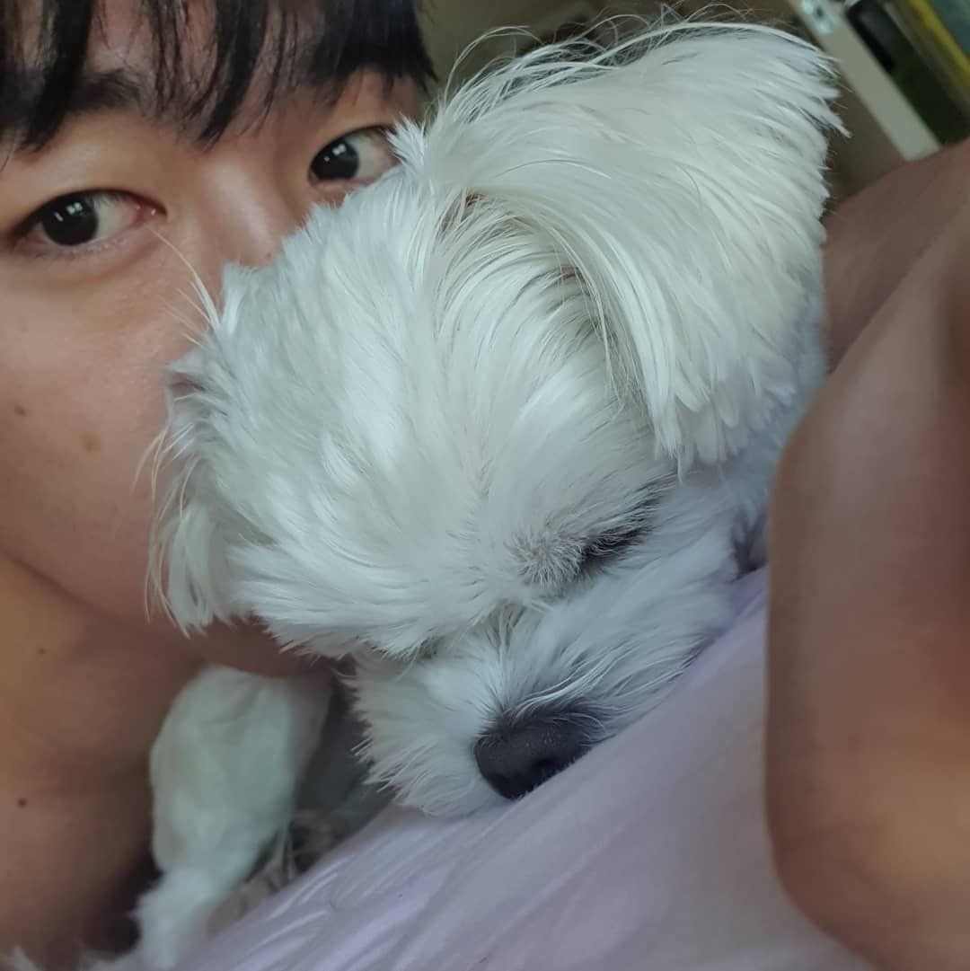 03_aldiql's tweet photo. D-520❤️ 사랑해 많이… https://t.co/pwalNGg4BP