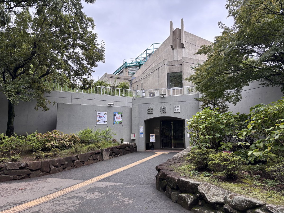 mokeosu4's tweet photo. 足���区生物園
入園するとデカい金魚にお出迎えされ、その後グンディグンディグンディ
蝶がめっちゃいるエリアがあって面白かったです
規模は小さいけど、展示方法や解説のちょうど良さなど満足度が高い！
300円で色々見れてアダチクミンがうらやましいです
またいきたいなー　グンディ https://t.co/Xu0whY3NJi
