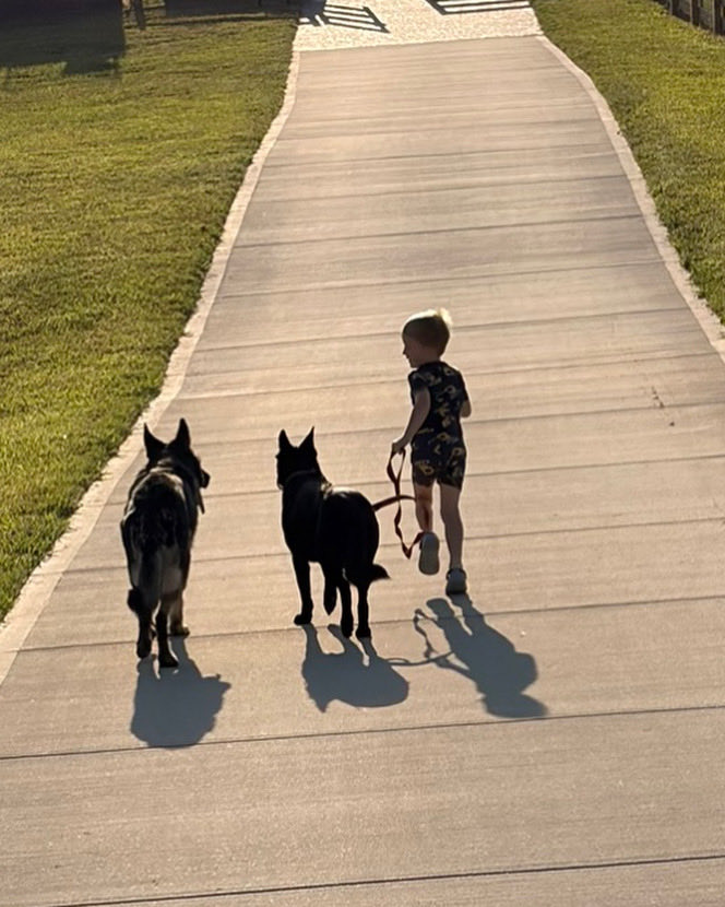 NashvilleK9's tweet photo. Good morning!!
Make this morning great!
#germanshepherd #workingdogs #NashvilleK9 https://t.co/NFkJiKNJ04