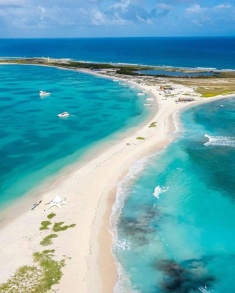 GianlucaCoccon1's tweet photo. Maravilloso 
CAYO HERRADURA
Isla La Tortuga se le llega en 
bote desde Higuerote en  
aprox en 2 horas VENEZUELA 
🇻🇪🇻🇪🇻🇪🇻🇪🇻🇪🇻🇪🇻🇪🇻🇪🇻🇪🇻🇪🇻🇪
@SoCoAdventures https://t.co/fkgnZuJTcw