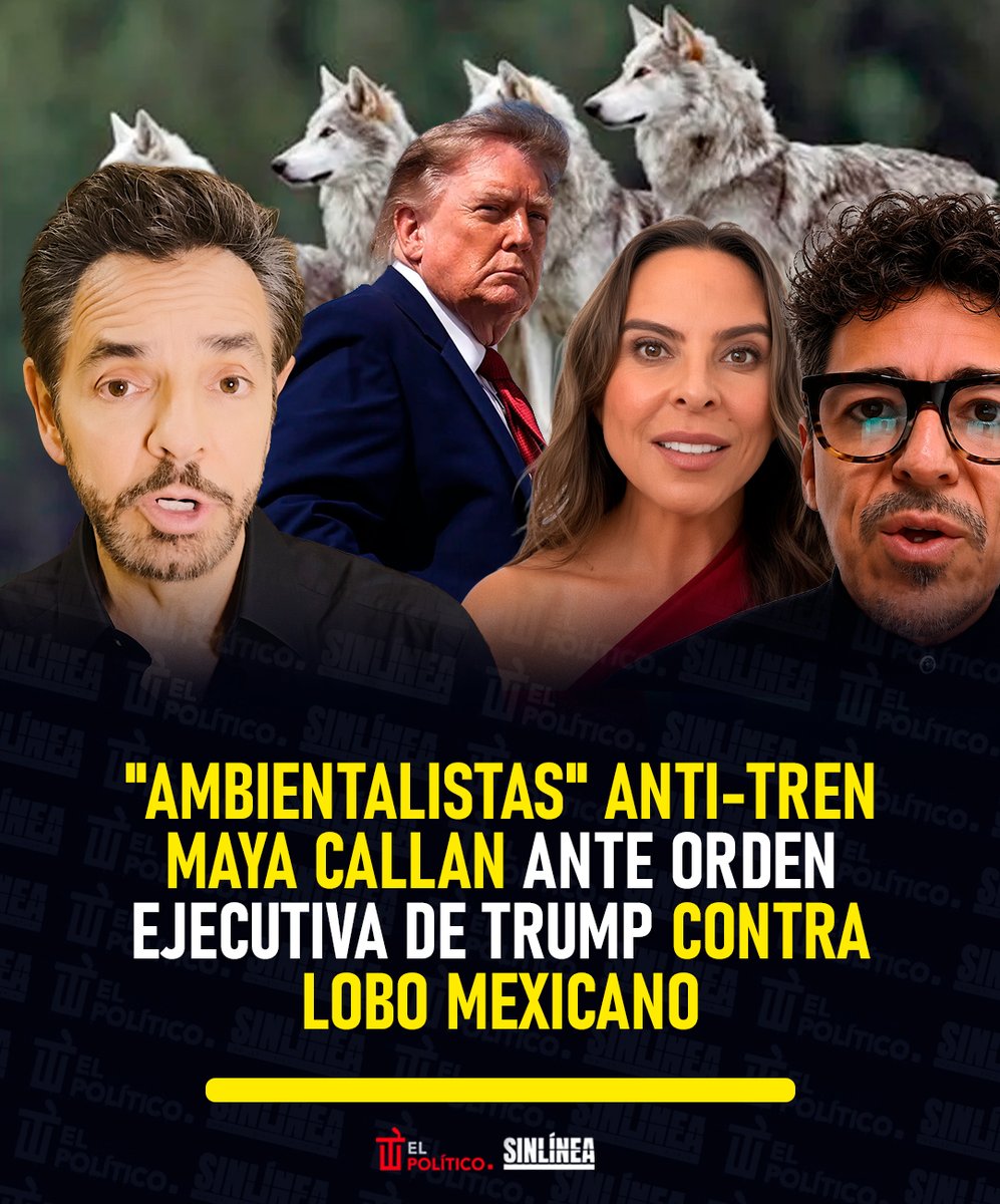 SinLinea_Mx's tweet photo. ¡Para eso nos gustaban! 🐺

🔴 Mientras #Trump (@realDonaldTrump) abre la puerta a retirar protecciones al #LoboMexicano, los "ambientalistas" anti-Tren Maya no han dicho ni pío 🤐

👉🏻 Cuando la "causa" les acomoda hay videos, campañas e indignación 🙄 | ¿Y ahora? 😡 https://t.co/NprSXXllm2