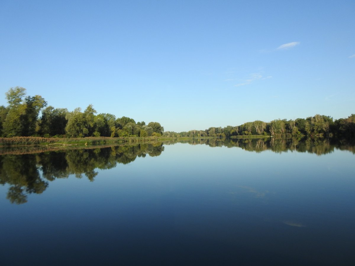 natur18442751's tweet photo. #Stille https://t.co/R3W7S5eQ0q