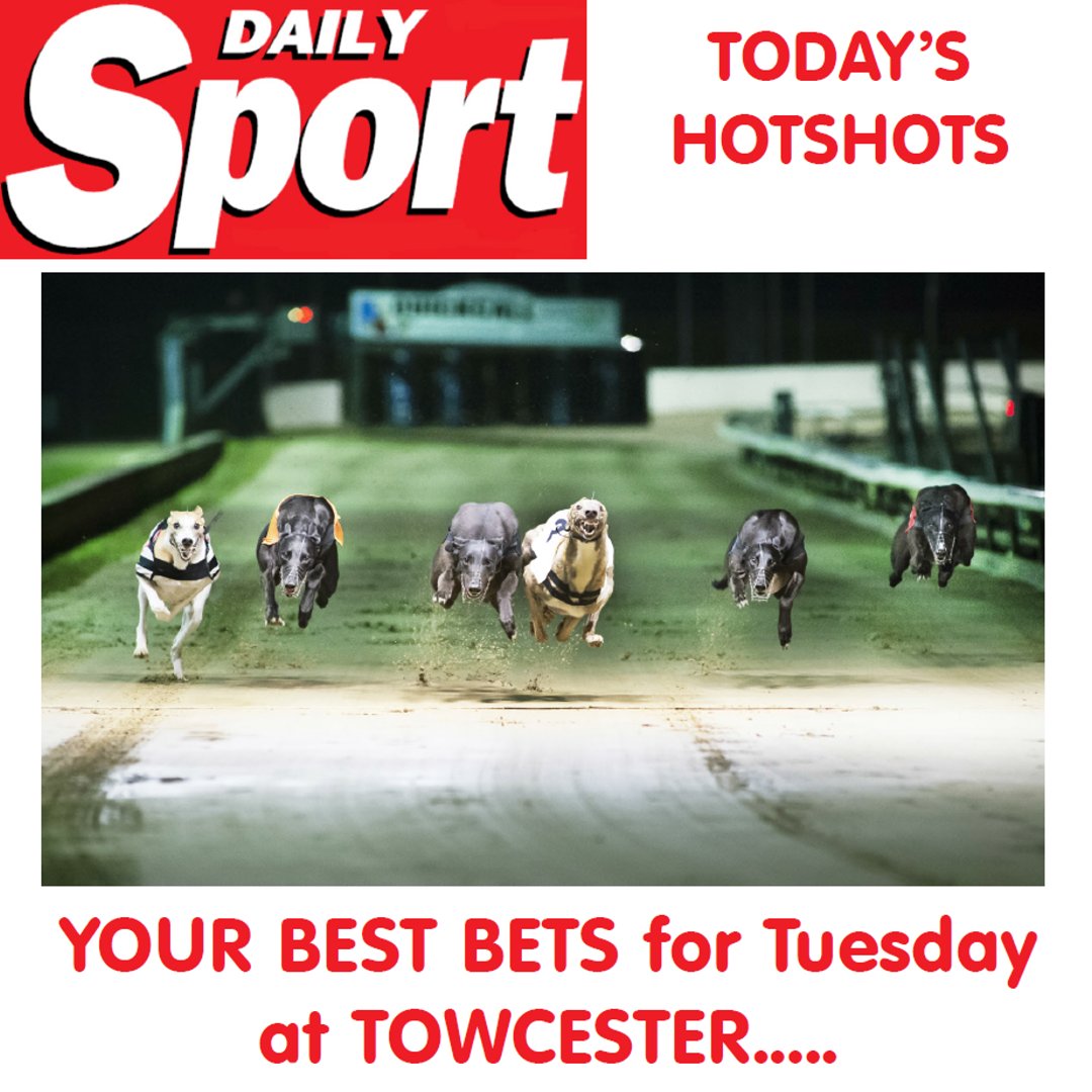 Daily_Sport's tweet photo. #TuesdaySport YOUR BEST BETS for Tuesday at Towcester
Keep following for more FREE tips!
https://t.co/CG1FsEQtdO
#TheSport #DailySport #DogRacing #Greyhounds #TheDogs #Betting #TheRaces #Races #Tips #RacingTips #MidweekSport #Towcester #FreeTips
@TowcesterGHs https://t.co/4l6F60wYY1