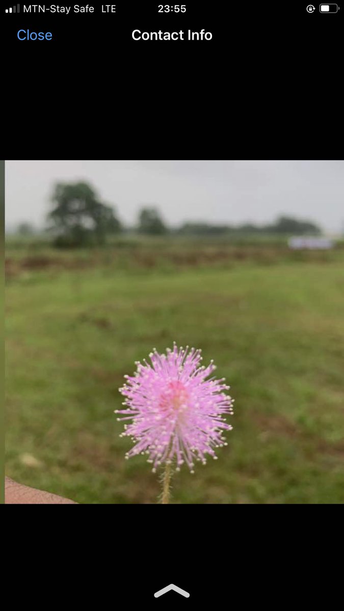 adedot9's tweet photo. @Nithya_Shrii Here is it🤭 https://t.co/om8nOKpYNq