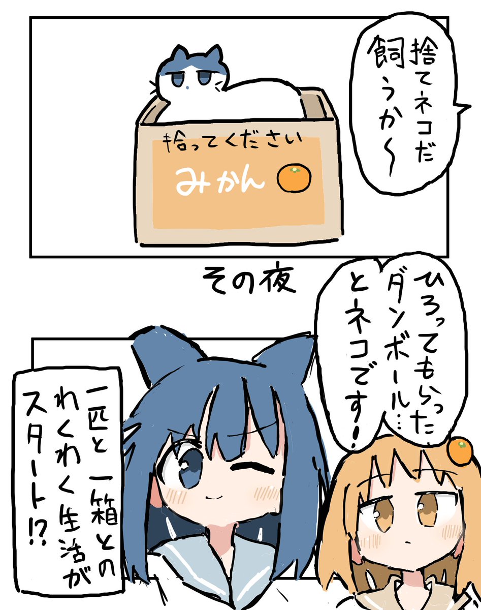 _ebi_furako's tweet photo. 捨てネコ https://t.co/cmNyu9j5Oi