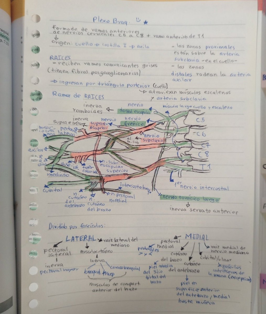 jimiluvv's tweet photo. viendo el lado bueno, si todo lo que aprenderé en estos meses lo estudio a conciencia, realmente no tiene precio, valdría la pena aún si me quedo sin horas de sueño

Es lo único reconfortante de esto, la verdad si me alegra pensar a futuro a veces

#studytwt https://t.co/oK72HzdHuG