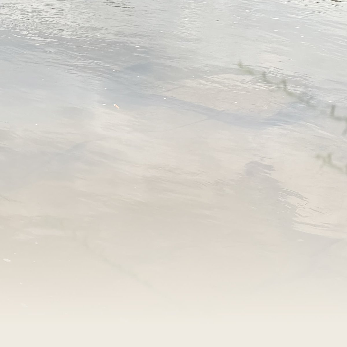 FredCitySC's tweet photo. River Sand.
The river isn't just the water.

Its banks, stones and shoreline carry their own palette—quieter, warmer and every bit as much a part of the Rappahannock.

So we brought that with us, too.

#FredCity #FredericksburgVA #Soccer https://t.co/vFSWUVVoCx