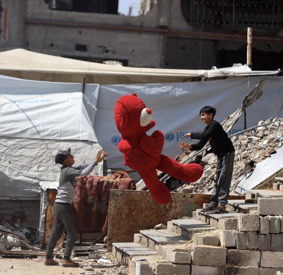 aseelswaid9's tweet photo. Gaza Palestine 2026 https://t.co/GU7im6Xmjv