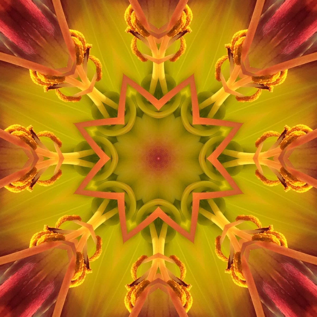 GoetterfunkenDE's tweet photo. Aus der Werkserie „Götterfunken (Naturmandalas)“

#Götterfunken #Naturmandalas #Kunst #Fotografie #DigitalArt #NaturPur #Gaia #Liebe #IchBin #Frieden #BlickNachInnen https://t.co/V0y9gg3L3d