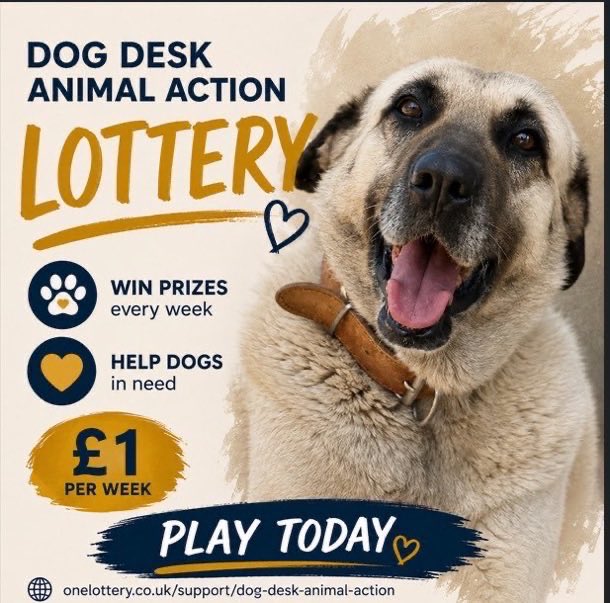 LisaClareRead2's tweet photo. I’m a member of the @DogDeskAction Lottery
Please join me for just £1 a week💕
Not only do you have a chance of winning a prize,you also help raise funds to look after the DogDesk #dogs
Click the link below to join⬇️
https://t.co/8uOk5u9twQ
Thank you🙏
#k9hour #rehomehour #UK https://t.co/7rBCGdPlKt