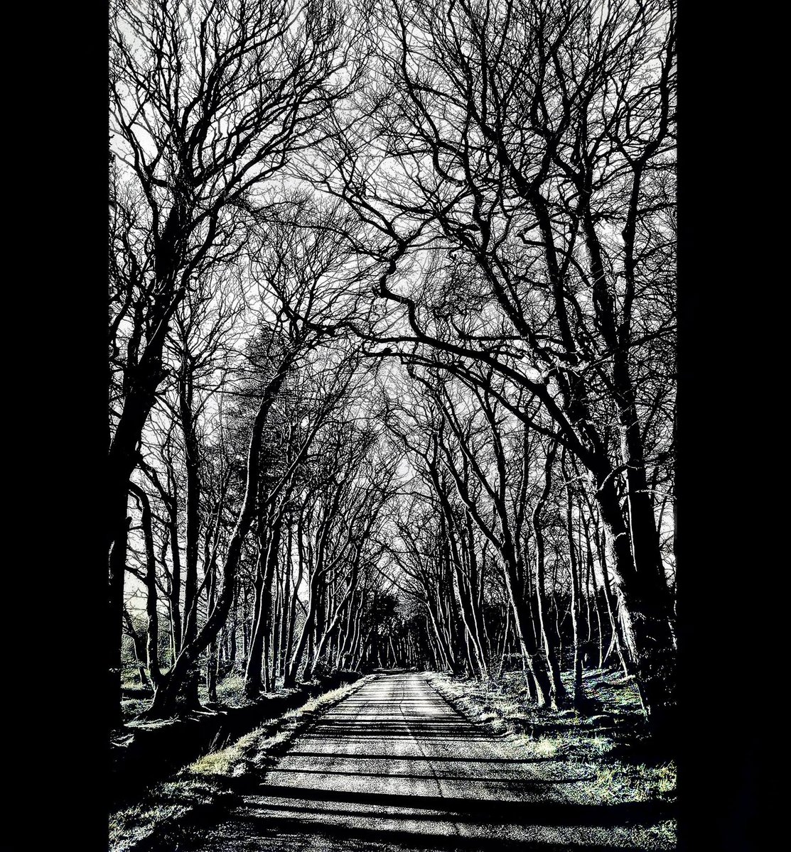 JerrellFeabtf's tweet photo. sometimes it feels like my own perception is just a fraying wire in an old machine... why is clarity so hard to hold? 🕸️ https://t.co/gFUsFAwIUV