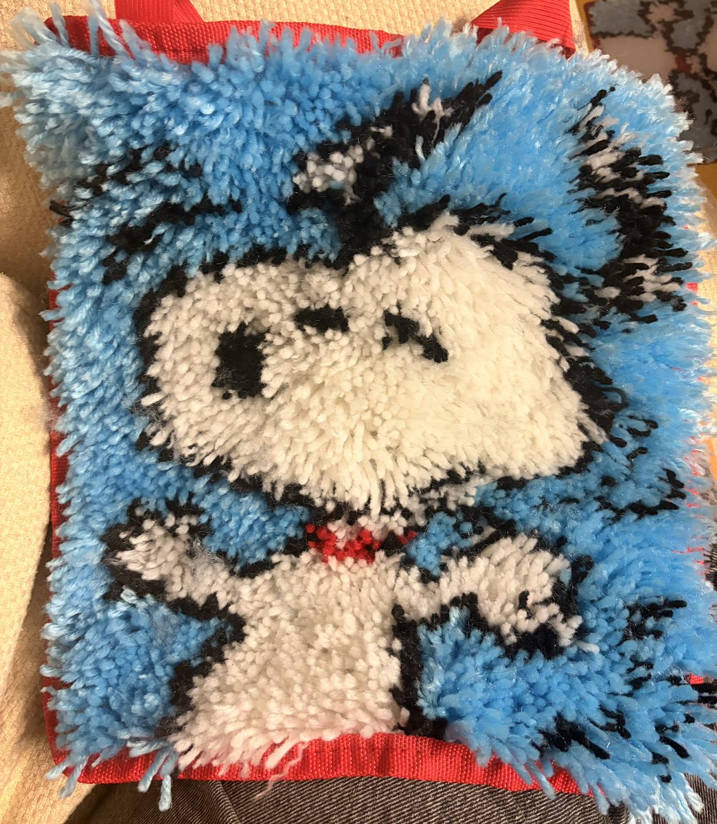 ilovesharks55's tweet photo. finished my snoopy latchhook rug! https://t.co/u60p65cs7R