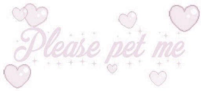 princesspup77's tweet photo. https://t.co/2FO1Gw7alg