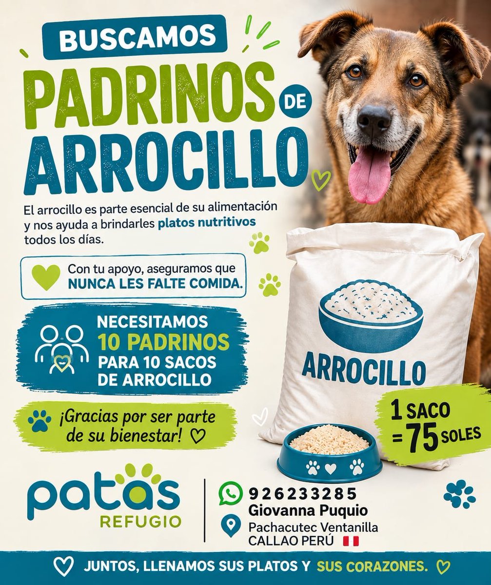 PatasRefugio's tweet photo. 🥹❤️ ¡AMIGOS, ESTAMOS A NADA DE LOGRARLO!

Nos falta SOLO 1 SAQUITO 🐾🐶

¿Nos ayudan a conseguirlo? 🙏
Solo necesitamos 7 personitas que se sumen y nos apoyen con S/10.
 c/u 🙏❤️

S/10 + S/10 + S/10… = ¡OBJETIVO LOGRADO! 🎉🐾

Si puedes ser una de esas 7 personas, escríbeme.
Y si no puedes, comparte. Quizás entre tus contactos están esas 7 personitas que hoy necesitamos. ❤️

¡VAMOS, QUE YA CASI! 🥹🐾❤️
#RTpf