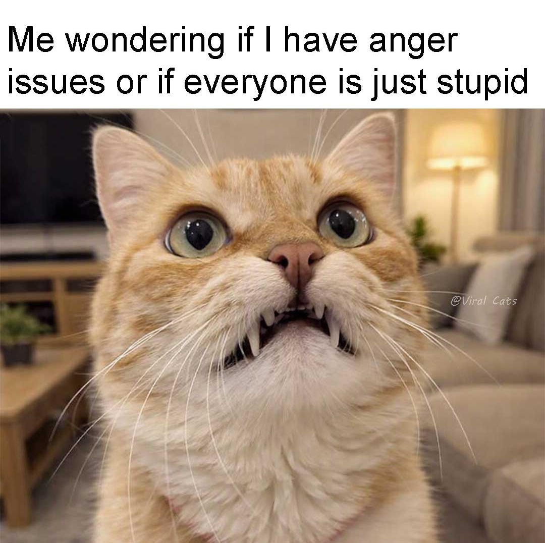_ViralCats_'s tweet photo. Why not both? 😅 https://t.co/YnMCTxnZQ9