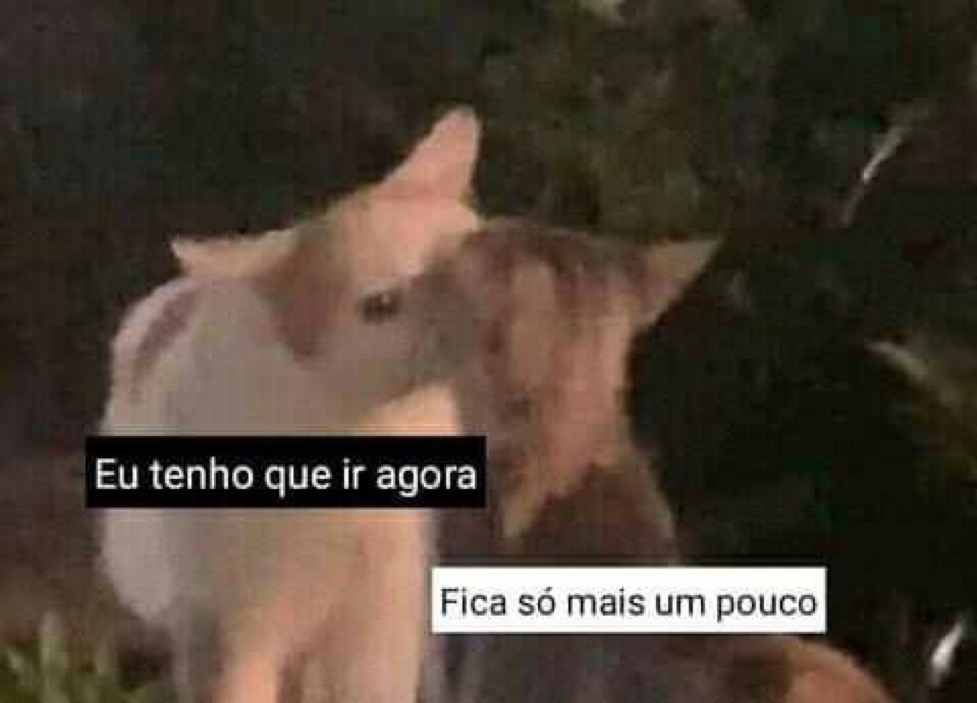 relacionemos's tweet photo. https://t.co/N2gNKQRcdc