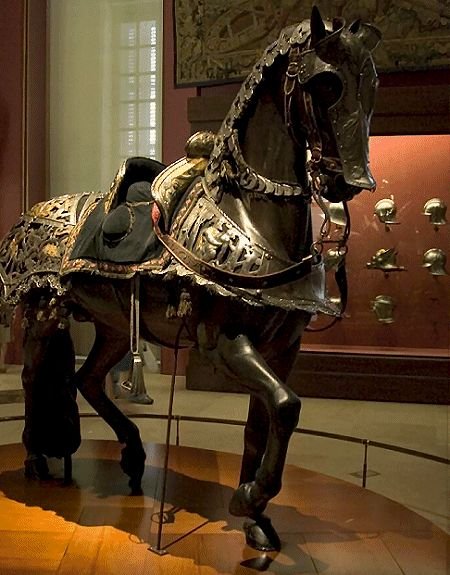 ATiago3's tweet photo. @GuyFawk15833163 Cavalo tem que usar armadura, olha o drip do pé de pano https://t.co/opd3WcrcL2