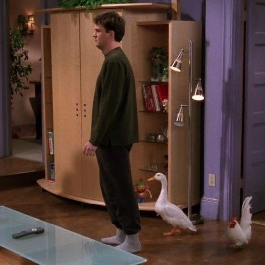 cinevow's tweet photo. Chandler Bing and his duck in Friends https://t.co/XTj0UU3Wa9