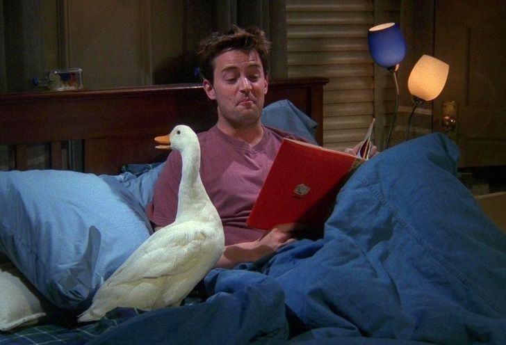 cinevow's tweet photo. Chandler Bing and his duck in Friends https://t.co/XTj0UU3Wa9