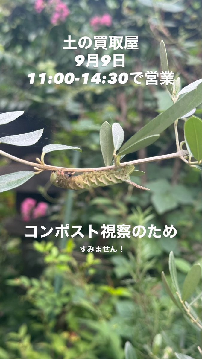 sasashun's tweet photo. https://t.co/R3Ws2PgZsP