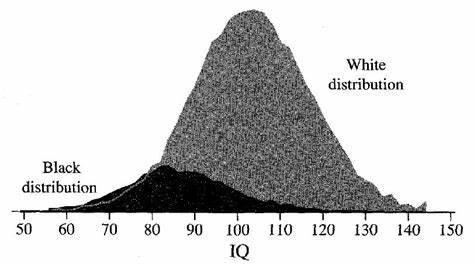 2whomeveritmay's tweet photo. @KhanyaGoqw36n @Prototype27F here's an actual intelligence curve based on data and not just some virtue-signaling fgt's opinion. https://t.co/3Fbw9y3oJg
