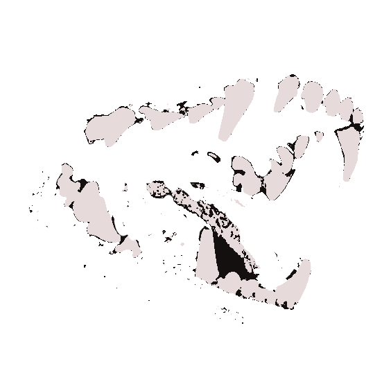 Creatureistic's tweet photo. ⠀⠀⠀Cₕₐₙɠₑꔋ𝘏𐌉𝗦 
⠀⠀⠀⠀⠀⠀⠀aიiღal  ጎ
⠀⠀⠀⠀⠀⠀⠀⠀нανє ⠀ ՅȝՇԾʍȝ .ᐟ https://t.co/Y4y8pZh0Ka