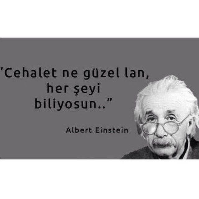 ko_emin's tweet photo. @alpklnctr https://t.co/EytMITq3jh