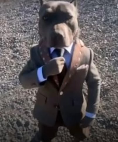 chocobeignet93's tweet photo. @AsyFutTrader Prêt à dépenser mon smic https://t.co/hLzptPQ7lJ