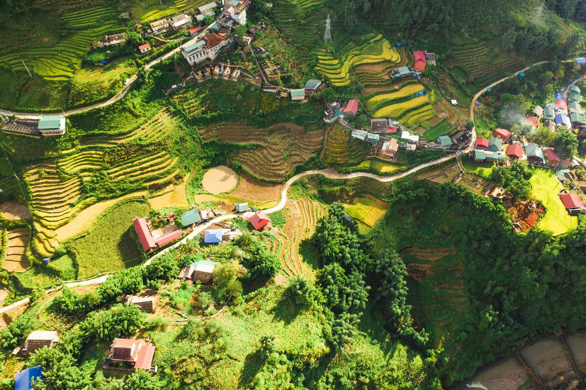 maxfindsforyou's tweet photo. Après le Vietnam et Hanoï, cap sur Sapa cette semaine 🏔️ rizières en terrasses, villages ethniques, treks dans la brume.

Et vous, plutôt trek ou marché local ?

👉 https://t.co/38NMgBfLsw

#Vietnam #Sapa https://t.co/CbQ99XTpDb
