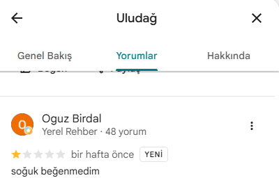 kimbunick's tweet photo. Google yorumlara herkes yorum yapmasın ya https://t.co/I8uFrTKJHY