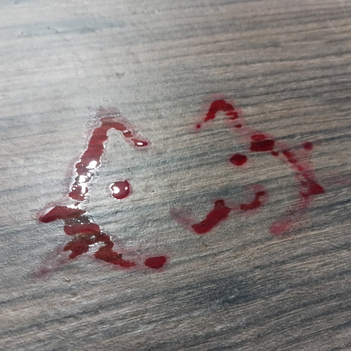 7482938128w's tweet photo. cat!!!!! https://t.co/82p5q6H8A2