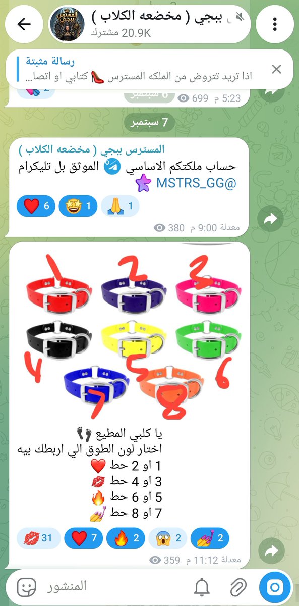 MSTRS_GG's tweet photo. الي يريد يتروض يتواصل ويايه على حسابي الموثق والاساسي بل تليكرام 
المسترس ببجي 💅 https://t.co/xPjD5uKNyR

وقناتي في التليكرام بيها 20 الف متابع تابعوها يا مطيعين👠
https://t.co/9L5f4LHTMV https://t.co/Lu8xtG74pX