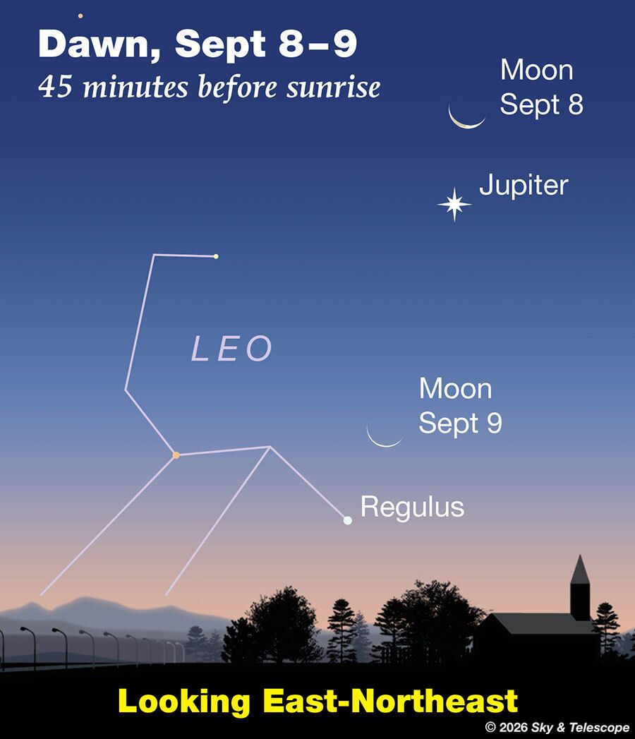 SkyandTelescope's tweet photo. As dawn brightens Wednesday morning the 9th, use binoculars to help pick up the thin waning crescent Moon low in the east-northeast about a fist-width below Jupiter. Look 4° or 5° below the Moon for twinkly Regulus.
https://t.co/qYJ0DSMzoQ 
#stargazing https://t.co/bhsynto49R