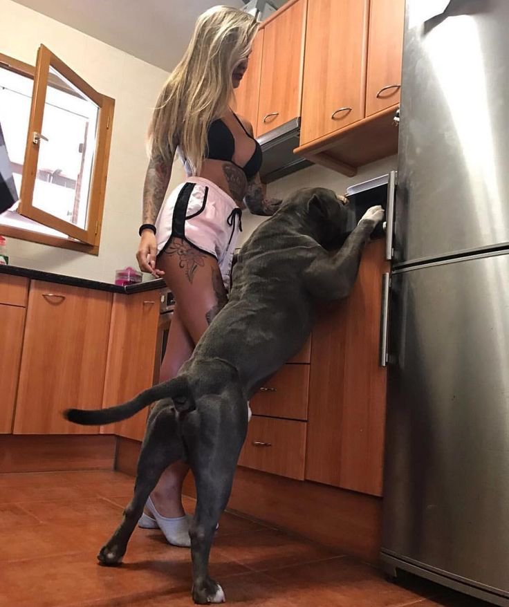 Michaely5's tweet photo. Dogs teach us loyalty without words 🐕
This new month is the perfect time to strengthen that beautiful bond. Stay connected! 💫
#artofzoo #zootwt #zoophille
#zoopositivity #zoopride 
#USA
Check bio
For link https://t.co/xflZRQhqEq