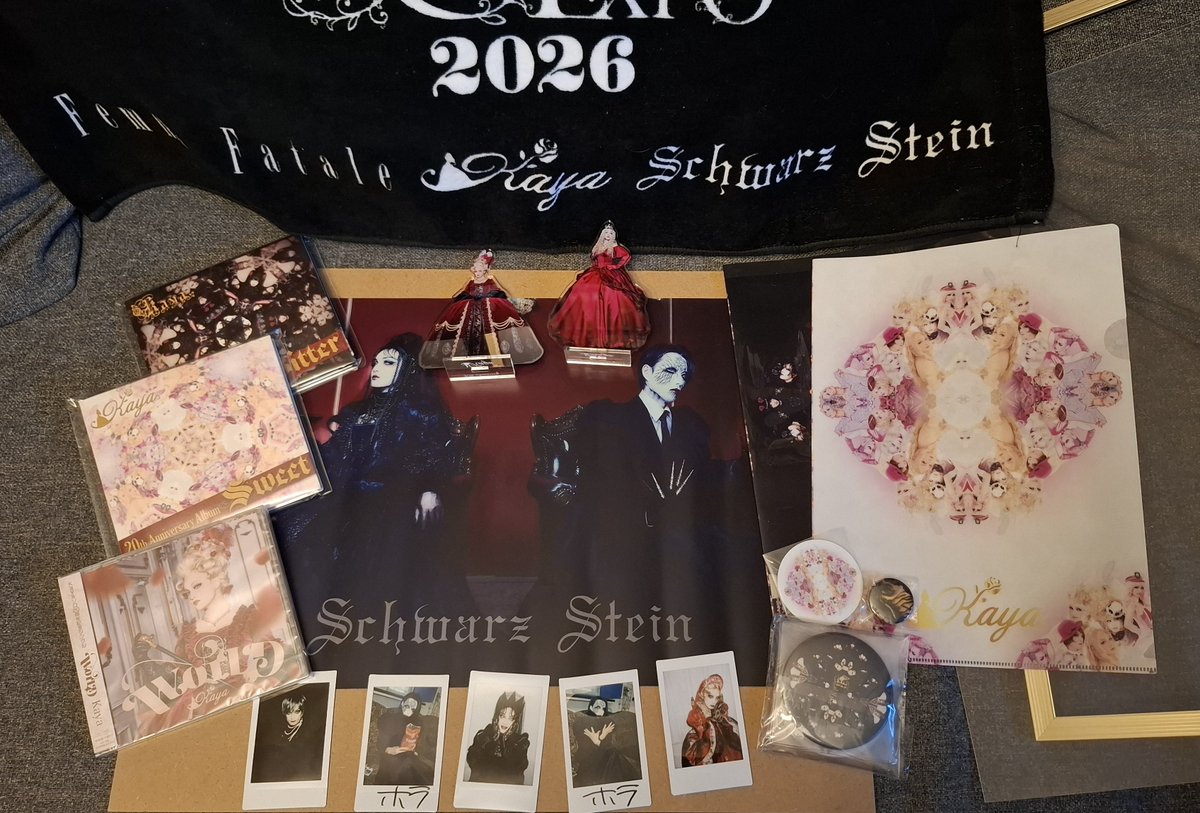 KryptaVHS's tweet photo. Merch z koncertu Kaya &amp; Schwarz Stein. Niestety większośc płyt Hory była już wyprzedana, mam nadzieję, że w listopadzie przywiezie więcej. https://t.co/533tnGGwwB