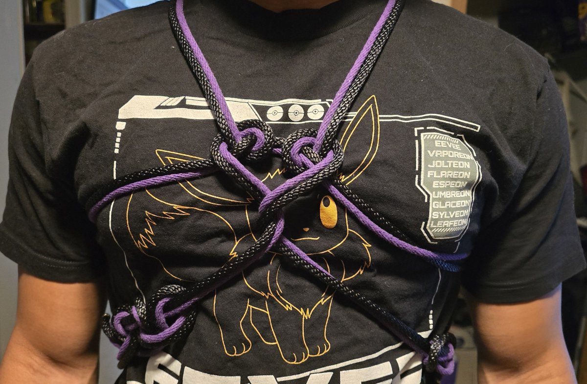 _Pocket_Goth_'s tweet photo. Special thanks to my pet for being so patient while I tied them up. First harness of done. https://t.co/p9YNGAwNlM