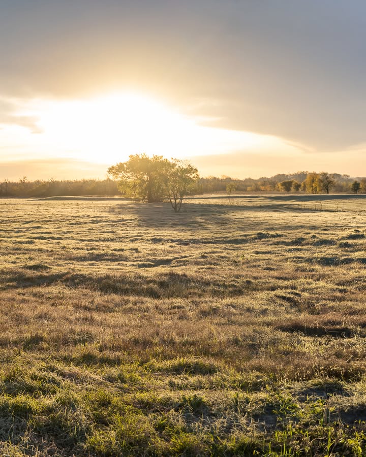 beartoothmhndra's tweet photo. Sunrise is the perfect time to get a head start on the day's chores with a powerful Mahindra tractor and loader by your side. 

 Call us today at (406) 252-2888
.
.
.
#OutworkingTheField #BuiltLikeNothinElse #TractorFanatic #TractorPulling #TrendingNow #Photography https://t.co/lXpEoE7jpM