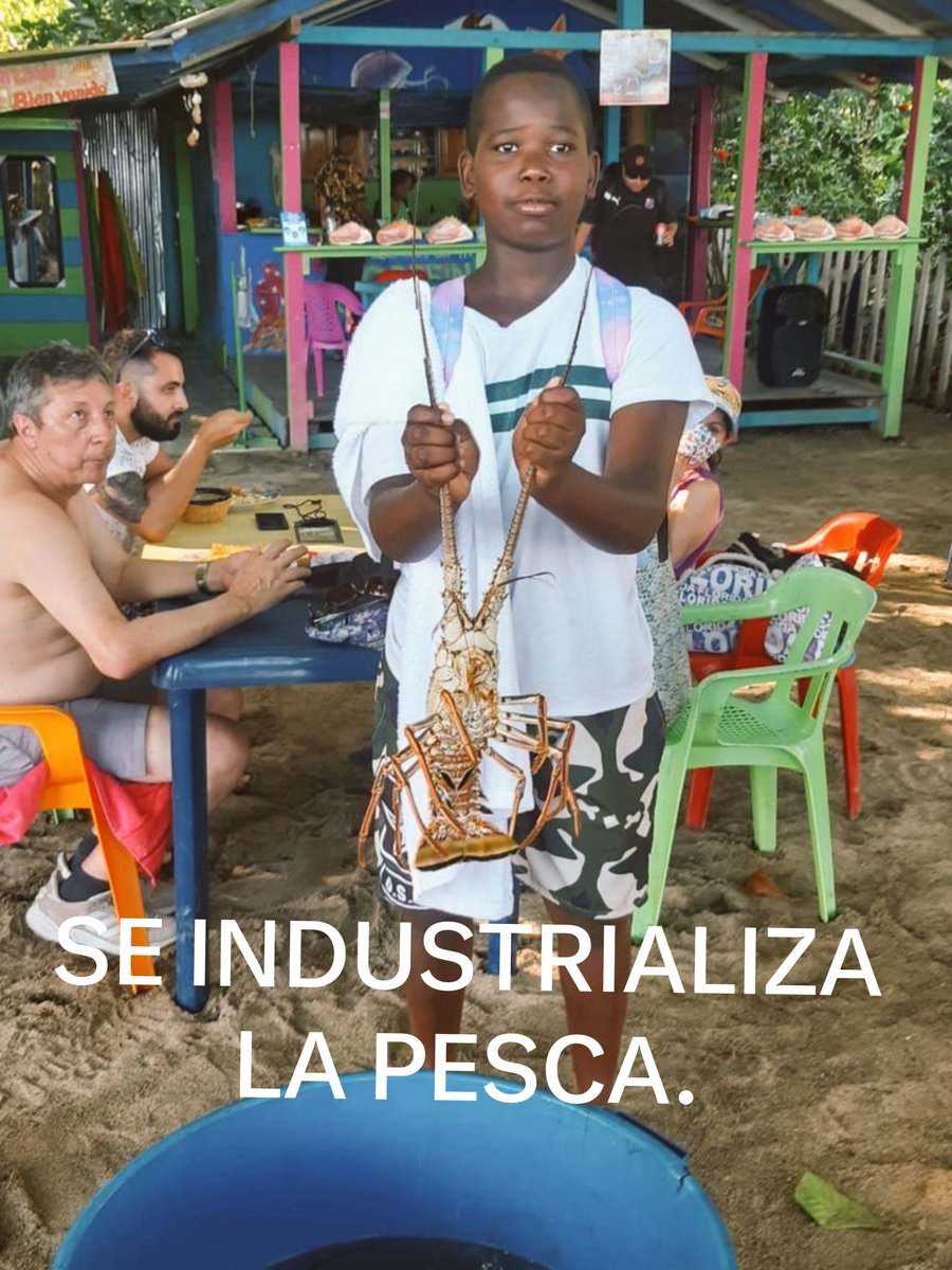 PROYECTOPECC's tweet photo. @Andres_Trigosr @JERobledo @gusgomez1701 @CaracolRadio @jsanchezcristo @lafm @BluRadioCo @NoticiasRCN @NoticiasCaracol @elespectador Alguién llamó a lista?
²👋
Comienza con una vía que #Conecte a #Turbo con #Unguía a través de un #Puente sobre el #Atrato...
De Ahí a #Tribugá y se Bifurca hacia BSolano y BVentura, Timbiquí, Barbacoas hasta #Pasto.
"La #Marginal del Pacífico."
🤔👀🇨🇴
@gusgomez1701
@DanielSamperO https://t.co/dvt7YtIbPa